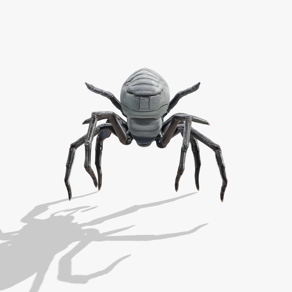 Cyber Arachnid Rigged and Animated D Character Model